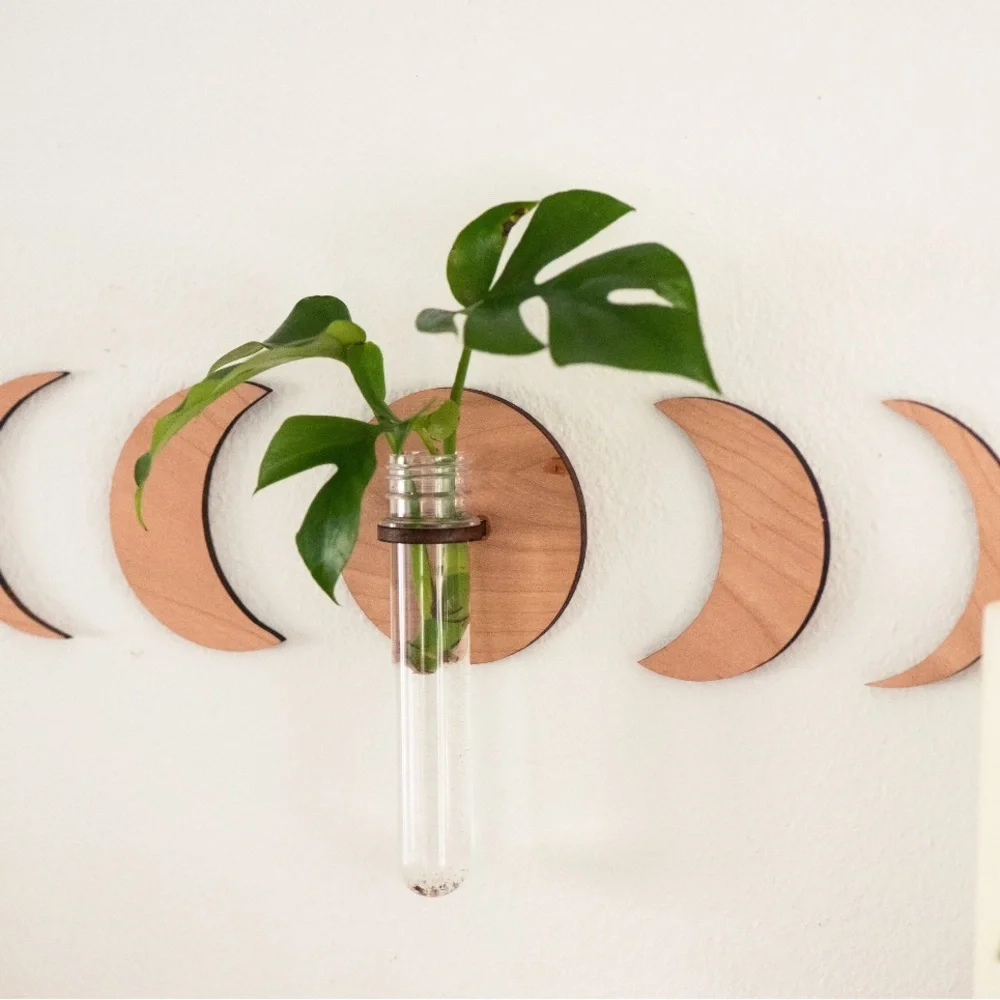Moon Phase Hanging Plant Propagation Test Tube Station Gift Wall Decor Vase Boho